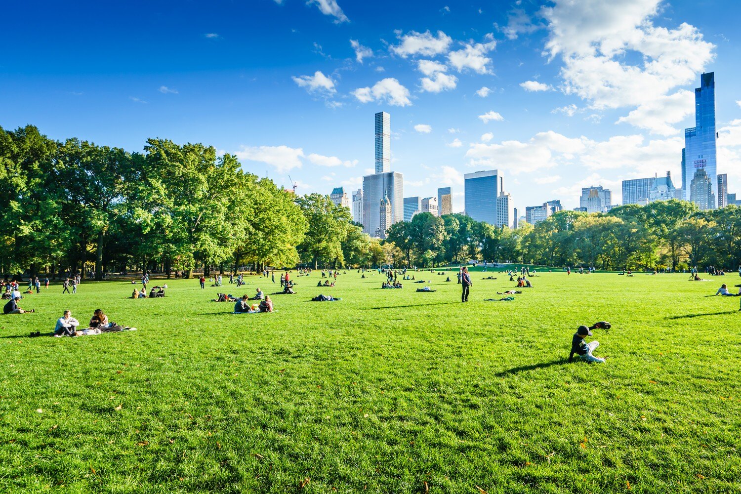 Central Park - Shutterstock Image credit Pabkov